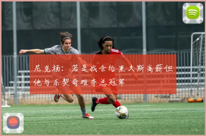 尼克杨：若是我会给里夫斯高薪但他与东契奇难夺总冠军