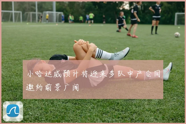 小哈达威预计将迎来多队中产合同邀约前景广阔
